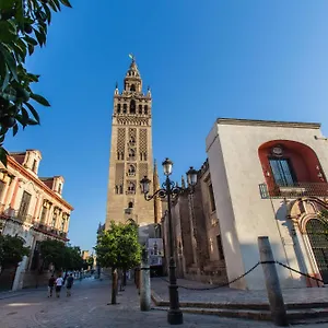 Hernando Colon 12 Siviglia